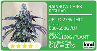The Ultimate Guide to Quarter Pound of Weed What You Need to Know