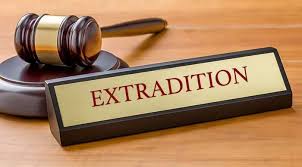 Exploring Popular Legal Practice Areas Understanding Your Options