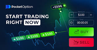 The Ultimate Guide to Trading on Pocket Option Platform -669229530