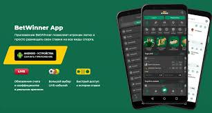 Explore BetWinner Casino & Sportsbook Your Ultimate Gaming Destination