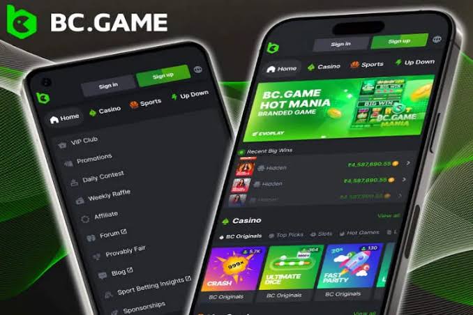 Understanding BC.Game KYC and AML Verification Processes 841299489 Understanding BC.Game KYC and AML Verification Processes 841299489